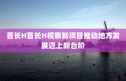 首长H首长H视察新项目推动地方发展迈上新台阶