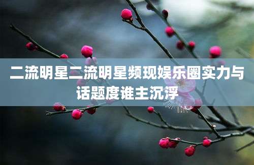 二流明星二流明星频现娱乐圈实力与话题度谁主沉浮