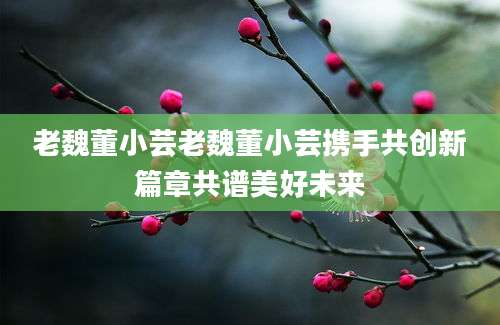老魏董小芸老魏董小芸携手共创新篇章共谱美好未来