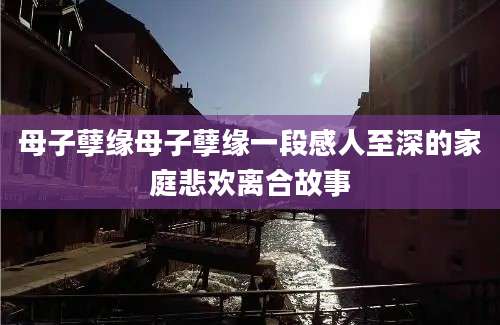 母子孽缘母子孽缘一段感人至深的家庭悲欢离合故事