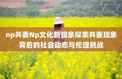 np共妻Np文化新现象探索共妻现象背后的社会动态与伦理挑战