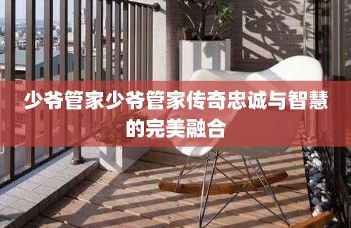 少爷管家少爷管家传奇忠诚与智慧的完美融合