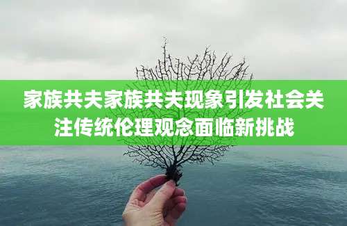 家族共夫家族共夫现象引发社会关注传统伦理观念面临新挑战