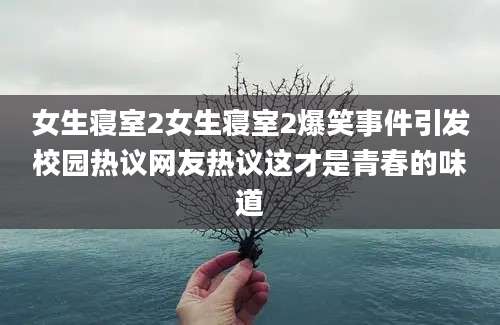 女生寝室2女生寝室2爆笑事件引发校园热议网友热议这才是青春的味道