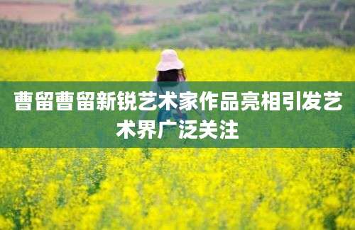 曹留曹留新锐艺术家作品亮相引发艺术界广泛关注