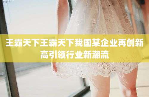 王霸天下王霸天下我国某企业再创新高引领行业新潮流