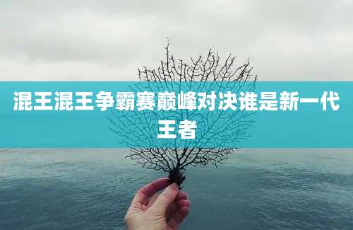 混王混王争霸赛巅峰对决谁是新一代王者