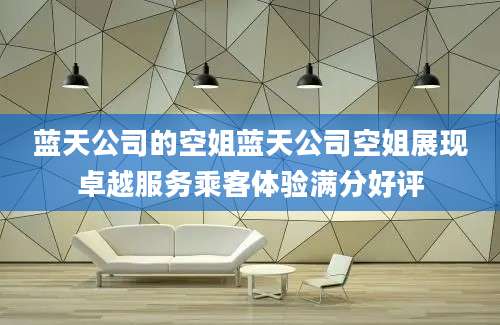 蓝天公司的空姐蓝天公司空姐展现卓越服务乘客体验满分好评