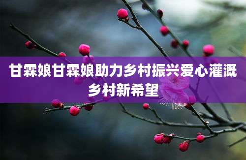甘霖娘甘霖娘助力乡村振兴爱心灌溉乡村新希望