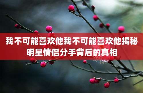 我不可能喜欢他我不可能喜欢他揭秘明星情侣分手背后的真相