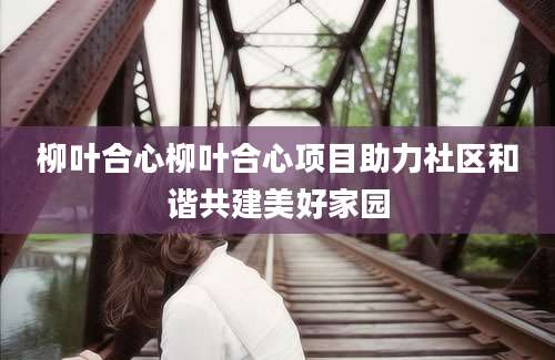 柳叶合心柳叶合心项目助力社区和谐共建美好家园