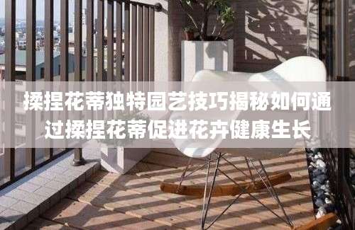 揉捏花蒂独特园艺技巧揭秘如何通过揉捏花蒂促进花卉健康生长