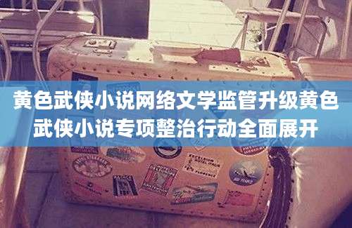 黄色武侠小说网络文学监管升级黄色武侠小说专项整治行动全面展开