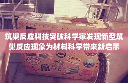 筑巢反应科技突破科学家发现新型筑巢反应现象为材料科学带来新启示