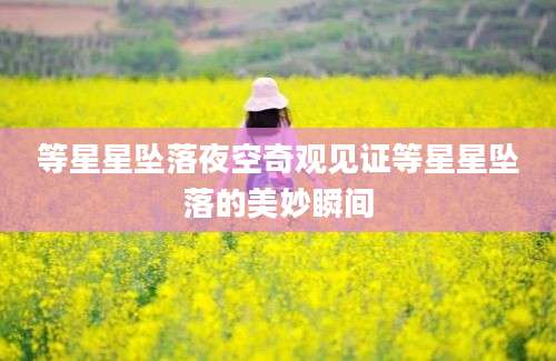 等星星坠落夜空奇观见证等星星坠落的美妙瞬间