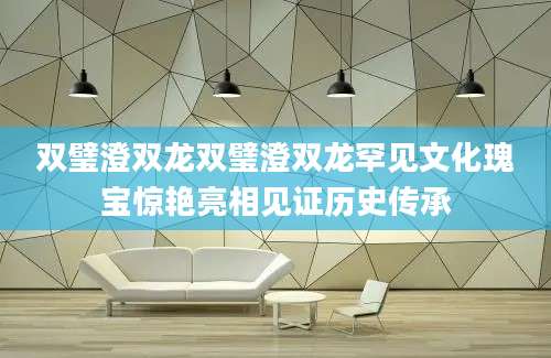 双璧澄双龙双璧澄双龙罕见文化瑰宝惊艳亮相见证历史传承