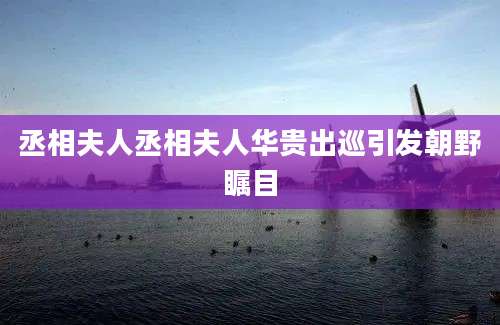 丞相夫人丞相夫人华贵出巡引发朝野瞩目