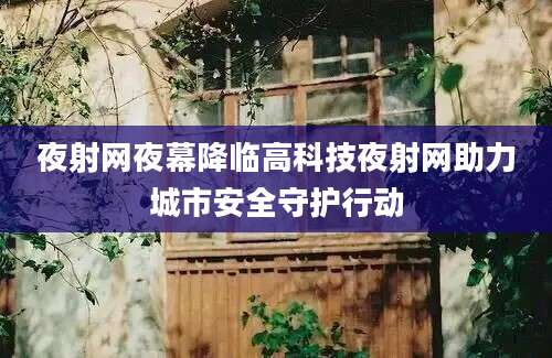 夜射网夜幕降临高科技夜射网助力城市安全守护行动