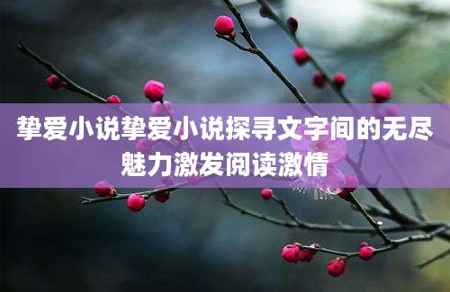 挚爱小说挚爱小说探寻文字间的无尽魅力激发阅读激情
