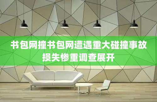 书包网撞书包网遭遇重大碰撞事故损失惨重调查展开