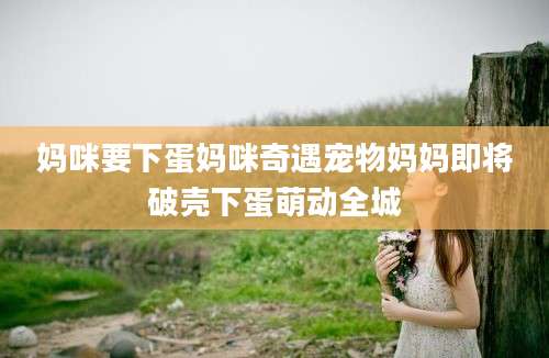 妈咪要下蛋妈咪奇遇宠物妈妈即将破壳下蛋萌动全城