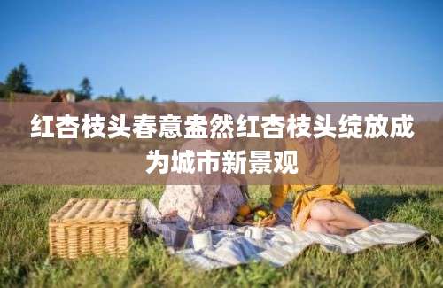 红杏枝头春意盎然红杏枝头绽放成为城市新景观