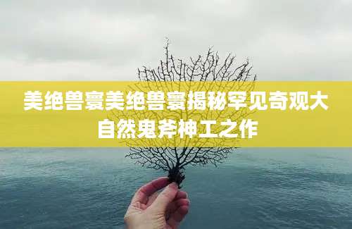 美绝兽寰美绝兽寰揭秘罕见奇观大自然鬼斧神工之作