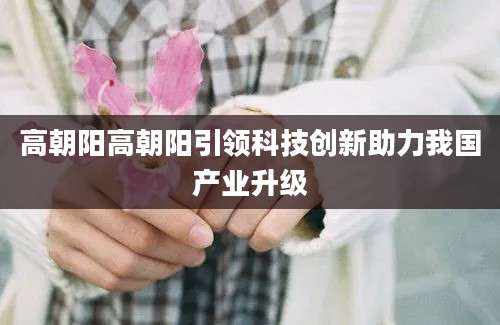 高朝阳高朝阳引领科技创新助力我国产业升级