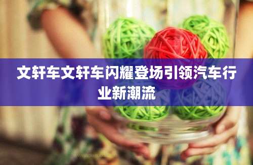 文轩车文轩车闪耀登场引领汽车行业新潮流