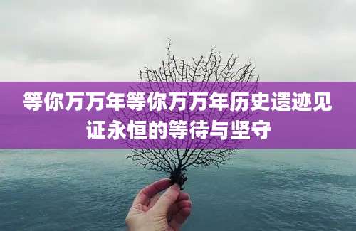 等你万万年等你万万年历史遗迹见证永恒的等待与坚守