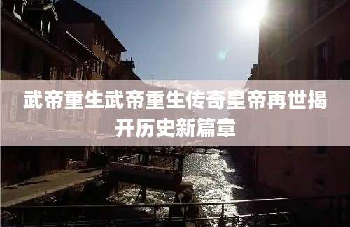 武帝重生武帝重生传奇皇帝再世揭开历史新篇章