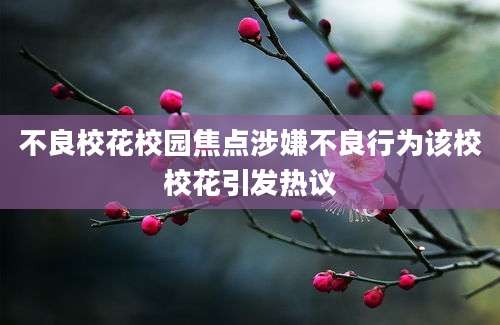 不良校花校园焦点涉嫌不良行为该校校花引发热议