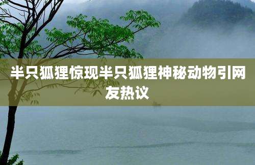 半只狐狸惊现半只狐狸神秘动物引网友热议