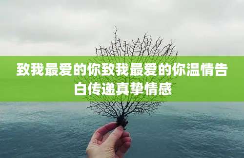 致我最爱的你致我最爱的你温情告白传递真挚情感