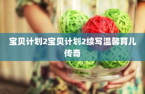 宝贝计划2宝贝计划2续写温馨育儿传奇