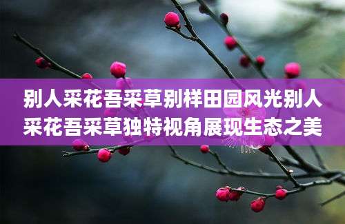 别人采花吾采草别样田园风光别人采花吾采草独特视角展现生态之美