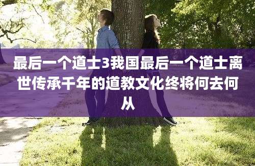 最后一个道士3我国最后一个道士离世传承千年的道教文化终将何去何从