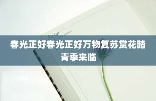 春光正好春光正好万物复苏赏花踏青季来临