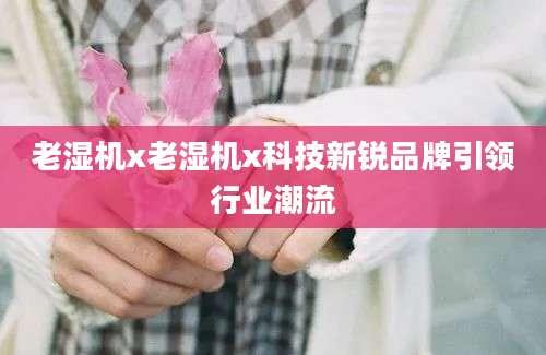 老湿机x老湿机x科技新锐品牌引领行业潮流