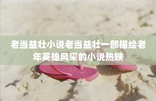 老当益壮小说老当益壮一部描绘老年英雄风采的小说热映