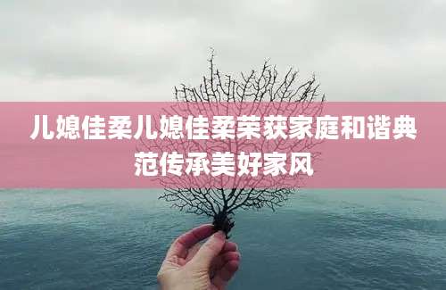 儿媳佳柔儿媳佳柔荣获家庭和谐典范传承美好家风