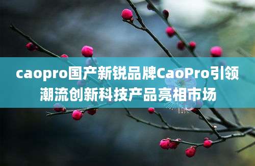 caopro国产新锐品牌CaoPro引领潮流创新科技产品亮相市场