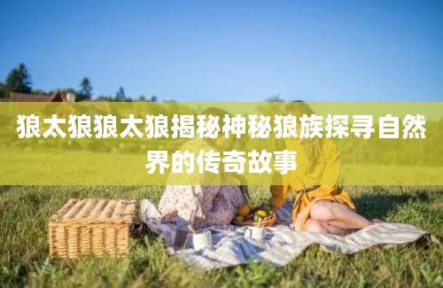 狼太狼狼太狼揭秘神秘狼族探寻自然界的传奇故事