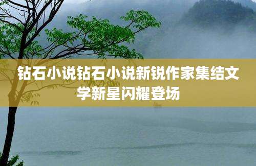 钻石小说钻石小说新锐作家集结文学新星闪耀登场