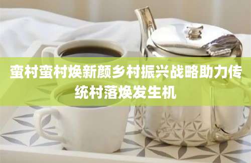 蛮村蛮村焕新颜乡村振兴战略助力传统村落焕发生机