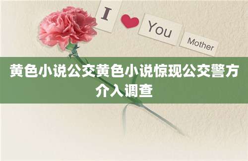 黄色小说公交黄色小说惊现公交警方介入调查