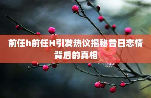 前任h前任H引发热议揭秘昔日恋情背后的真相