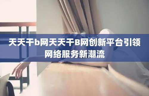 天天干b网天天干B网创新平台引领网络服务新潮流