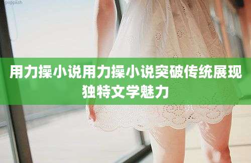 用力操小说用力操小说突破传统展现独特文学魅力