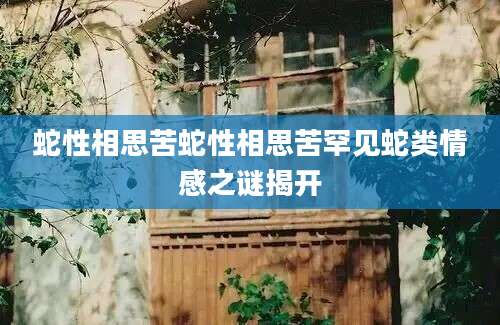 蛇性相思苦蛇性相思苦罕见蛇类情感之谜揭开
